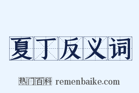 夏丁反义词是什么意思的图片